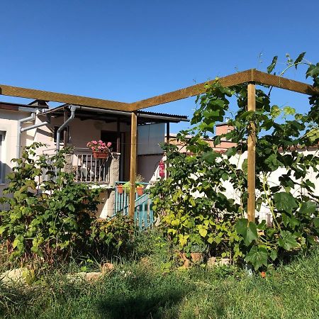 Ubytovani U Jerabku - Parkovani Zdarma Mikulov Zewnętrze zdjęcie