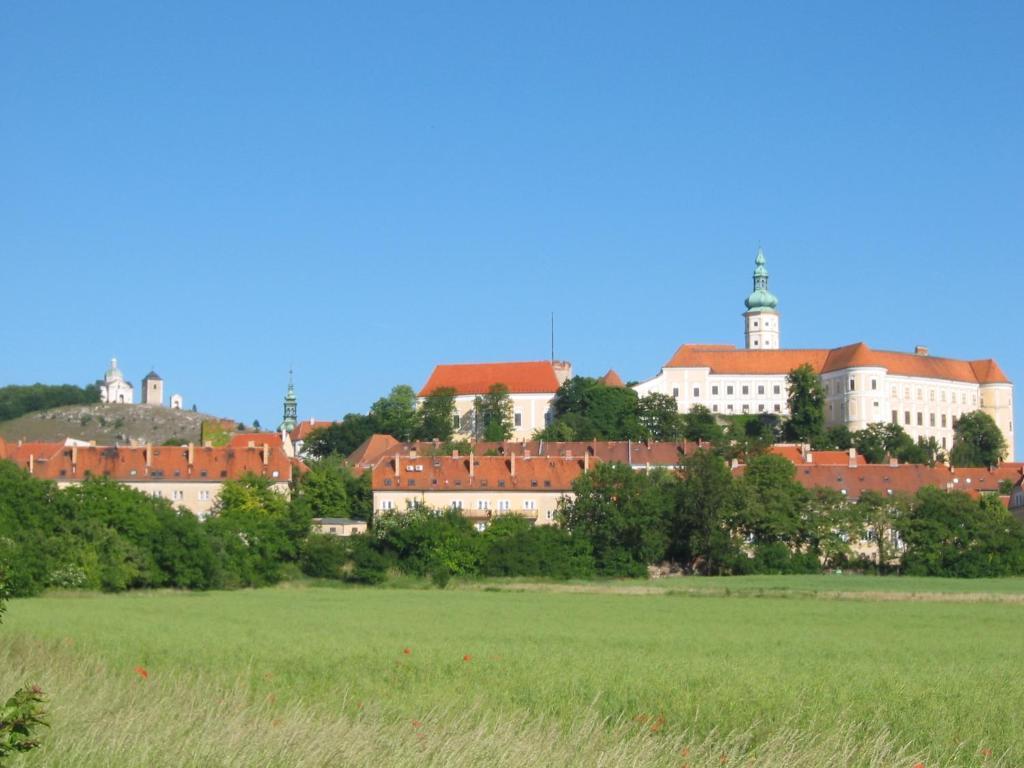 Apartament Ubytovani U Jerabku - Parkovani Zdarma Mikulov Pokój zdjęcie