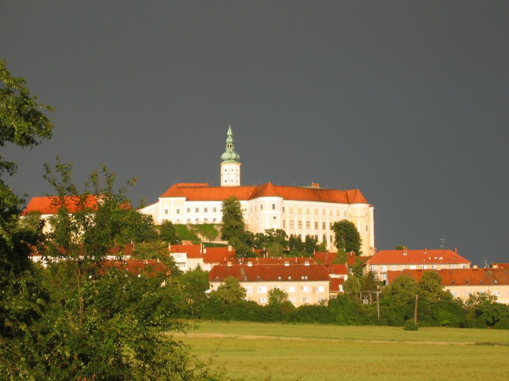 Apartament Ubytovani U Jerabku - Parkovani Zdarma Mikulov Pokój zdjęcie