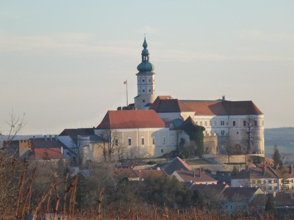 Apartament Ubytovani U Jerabku - Parkovani Zdarma Mikulov Zewnętrze zdjęcie